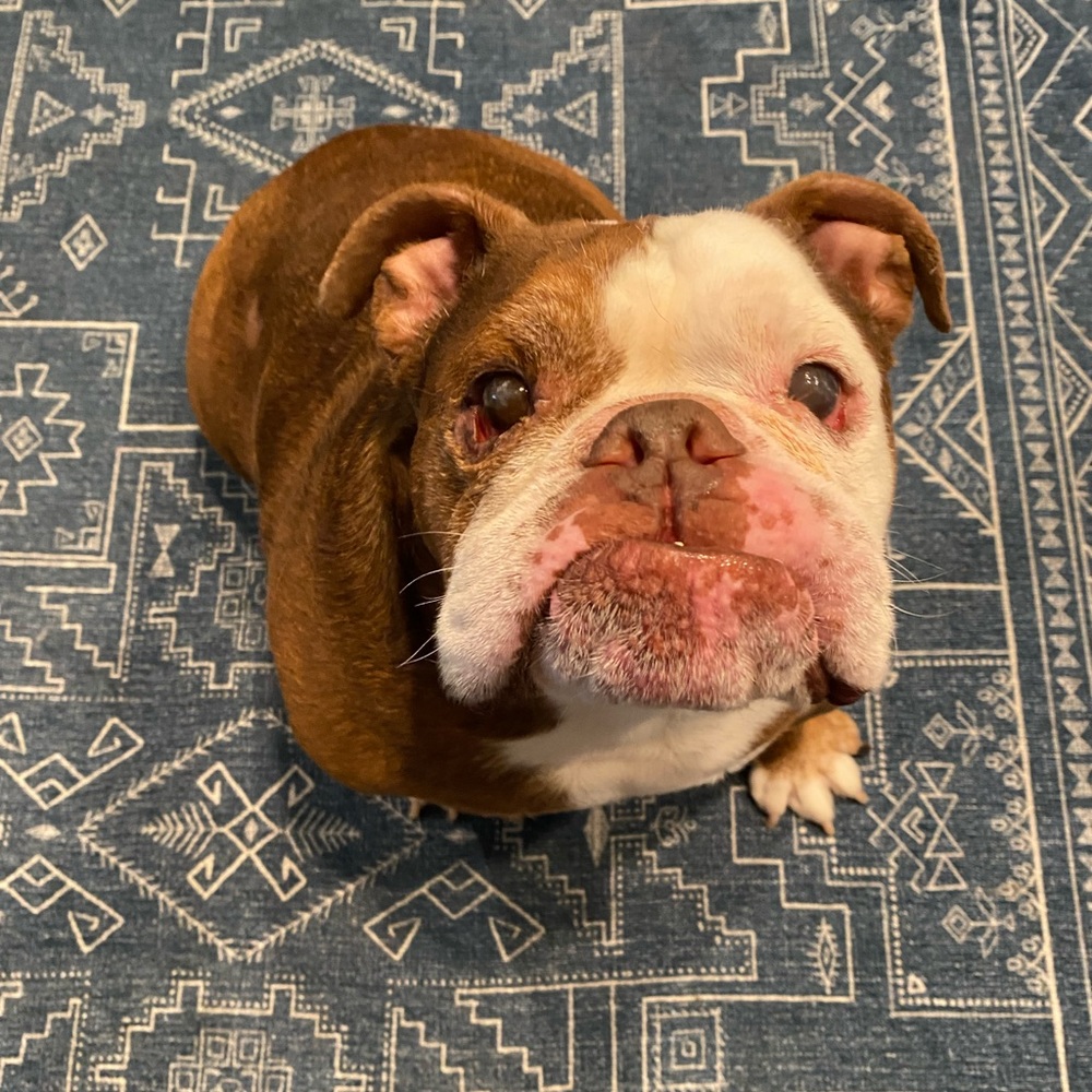 Meet your Posher, Michael